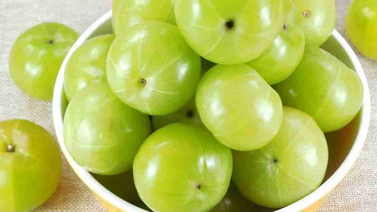 Amla:రోజుకు ఒక్క ఉసిరికాయ చాలు.. సూపర్ ఆరోగ్యం మీ సొంతం.. కానీ.. ఎలా తీసుకోవాలంటే..