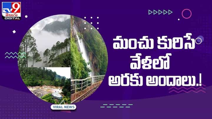 Araku: మంచు కురిసే వేళలో మైమరపించే అరకు అందాలు !! వీడియో Araku: మంచు కురిసే వేళలో మైమరపించే అరకు అందాలు !! వీడియో