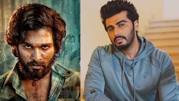 Pushpa: పుష్ప సినిమా కాదు ఒక అనుభవం.. బన్నీపై ప్రశంసల వర్షం కురిపించిన అర్జున్ కపూర్..