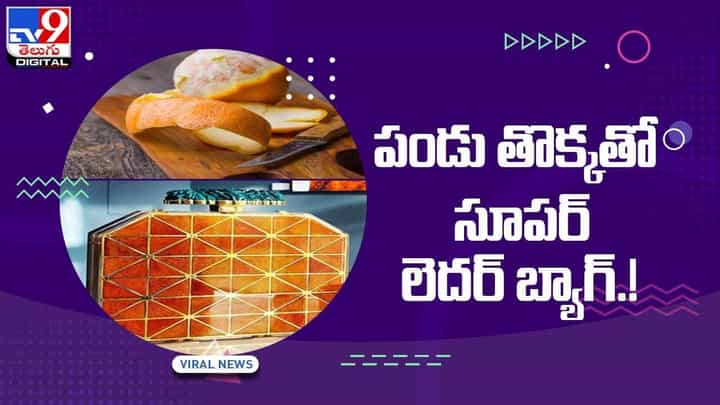 Viral Video: పండు తొక్కతో సూపర్ లెదర్ బ్యాగ్ !! వీడియో Viral Video: పండు తొక్కతో సూపర్ లెదర్ బ్యాగ్ !! వీడియో