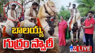 Top telugu item songs: పాటలంటే ఇవి మామ..! రికార్డులు బద్దలు కొట్టాయిగా..(వీడియో)