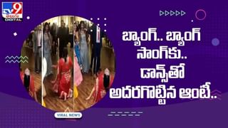 Viral Video: రెండు పులుల ఫైట్‌ ఎప్పుడైనా చూశారా !! వీడియో