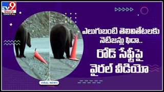 Anand Mahindra: ఈ వీడియో చూసి చలించిపోయిన ఆనంద్‌ మహీంద్రా.. దివ్యాంగుడికి ఉద్యోగం..