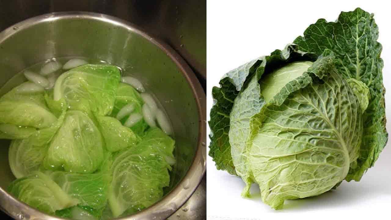 Cabbage Water Benefits: రోజూ క్యాబేజీ ఉడకబెట్టిన నీరు తాగడం వలన
