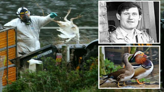 Dog Birthday: 11 కోట్లు ఖర్చు పెట్టిన ఘనంగా కుక్కలు పుట్టిన రోజు వేడుకలు.. చిక్కులను కొని తెచ్చుకున్న వైనం.. ఎక్కడంటే..