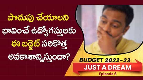 Budget 2022: పొదుపు చేయాలని భావించే ఉద్యోగస్తులకు ఈ బడ్జెట్ సరికొత్త అవకాశాన్నిస్తుందా?