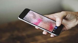 Chinese Pigeon: ఒడిశాలో చైనా గూఢాచారి పావురాలు.. వాటి కాలికి పచ్చ కట్లు.. అవేంటో..