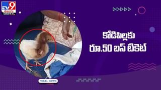 Viral Video: అడవిపంది కోసం సింహాల ప్లాన్ !! వ్యూహాత్మకం.. వీడియో