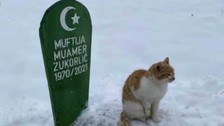 Video Watch: హైదరాబాద్‌కు గోల్డ్ ఐస్ క్రీమ్ వచ్చేసిందోచ్.. ఎక్కడ దొరుకుతుందో తెలుసా..