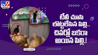 Viral Video: ఫిట్‌నెస్‌కి ఫిట్‌నెస్, వినోదానికి వినోదం !! మనోడి ఐడియా చూస్తే దిమ్మతిరిగిపోద్ది !!వీడియో