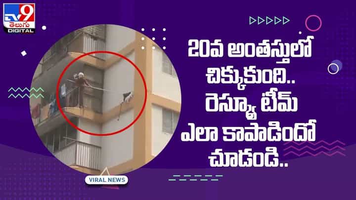 భారీ భవనం రెయిలింగ్ పై చిక్కుకున్న పిల్లి !! రెస్క్యూ టీమ్ ఎలా కాపాడిందో చూడండి !! వీడియో భారీ భవనం రెయిలింగ్ పై చిక్కుకున్న పిల్లి !! రెస్క్యూ టీమ్ ఎలా కాపాడిందో చూడండి !! వీడియో