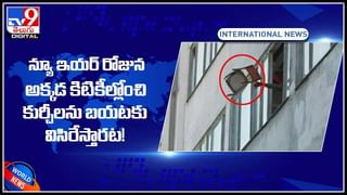 తోడేళ్లని విపరీతంగా చంపుతున్న స్వీడెన్, నార్వే ప్రజలు.. దీని వెనుక కారణం ఏంటంటే..?