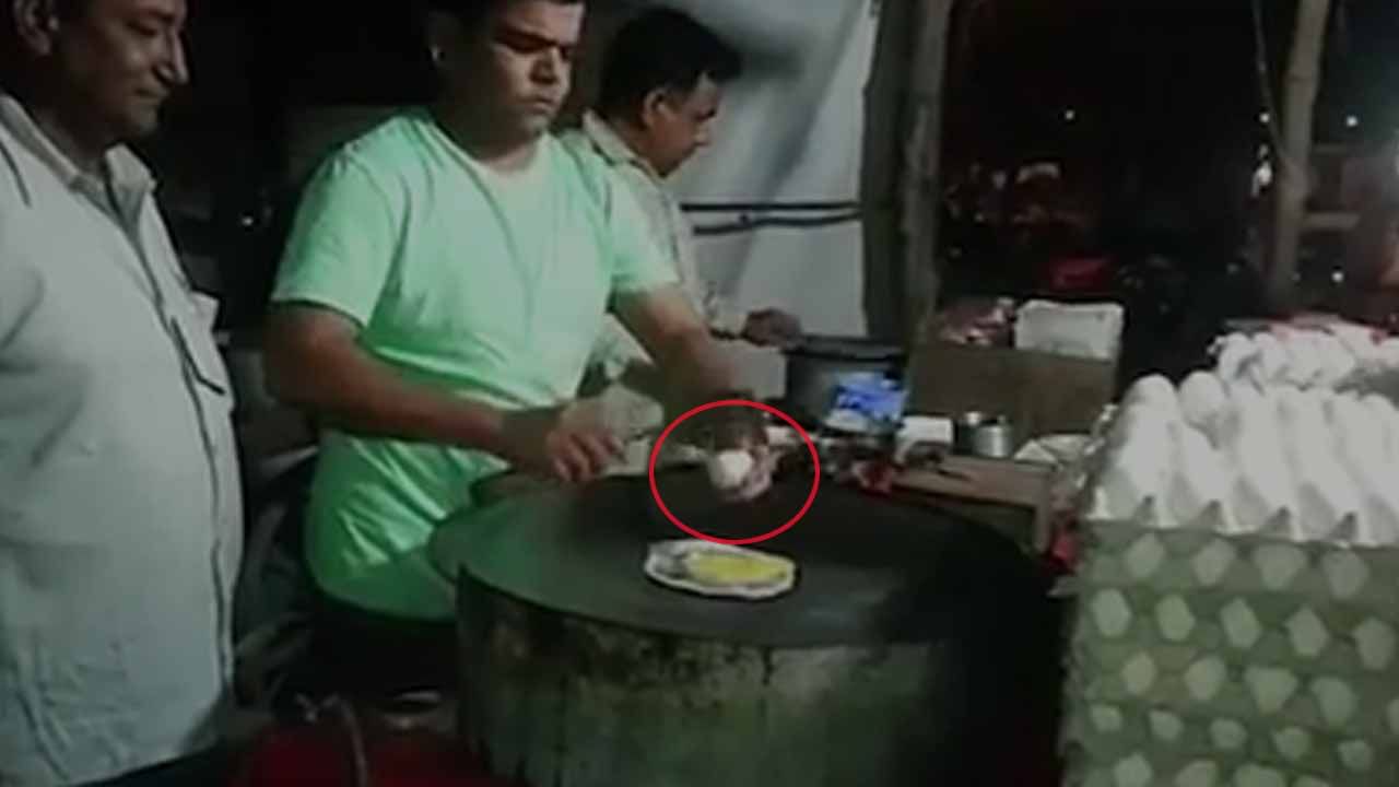 Viral Video: ఆమ్లెట్ వేసేందుకు గుడ్డు పగలగొట్టగానే బయటకు వచ్చిన అతిథి.. అందరూ షాక్