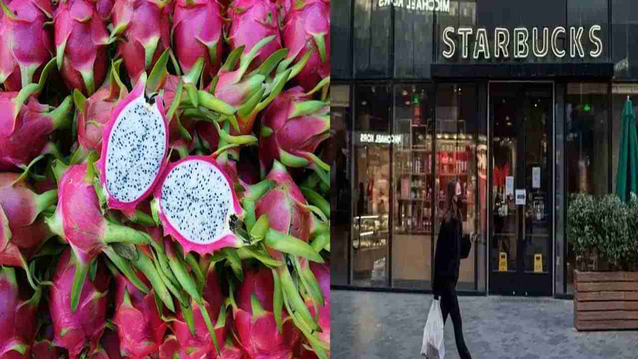 China Dragon Fruit: డ్రాగన్ ఫ్రూట్‌లో కరోనా వైరస్ ఆనవాళ్లు.. దిగుమతిపై నిషేధం విధించిన చైనా.. సూపర్ మార్కెట్లు బంద్