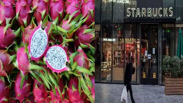 China Dragon Fruit: డ్రాగన్ ఫ్రూట్లో కరోనా వైరస్ ఆనవాళ్లు.. దిగుమతిపై నిషేధం విధించిన చైనా.. సూపర్ మార్కెట్లు బంద్