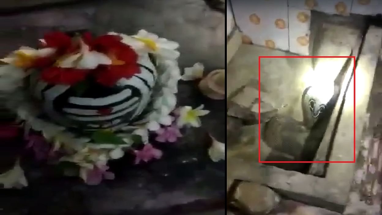 Snake Viral Video: శివాలయంలో నాగుపాము హల్ చల్.. అర్ధరాత్రి శివ లింగం వెనుక దర్శనం.. ఏం చేసిందో తెలిస్తే షాక్ అవుతారు.. | Cobra live in ananthapuram Shiva Temple video goes ...