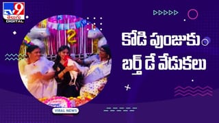 TOP 9 NEWS: వైద్యుల నిర్లక్ష్యానికి నిండు ప్రాణం బలి | ఇంగ్లీష్ తప్పనిసరి అంటున్న ప్రభుత్వం.. లైవ్ వీడియో