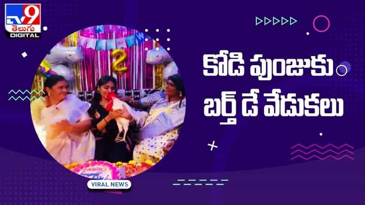 Viral Video: కోడి పుంజుకు బర్త్ డే వేడుకలు !! చూస్తే నవ్వు ఆపుకోలేరు !! వీడియో Viral Video: కోడి పుంజుకు బర్త్ డే వేడుకలు !! చూస్తే నవ్వు ఆపుకోలేరు !! వీడియో
