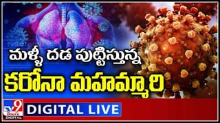 Viral Video: కాళ్లు లేని కుక్క‌ను.. మ‌ళ్లీ న‌డిచేలా చేసిన యువ‌కుడు..! వైరల్ అవుతున్న వీడియో..