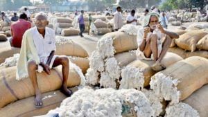 Cotton Exports: రష్యా-ఉక్రెయిన్ యుద్ధంతో కాటన్ ఎగుమతులకు బ్రేక్..