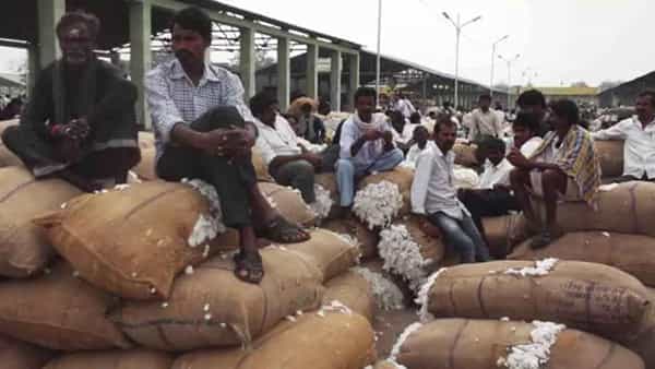 Telangana: మార్కెట్ చరిత్రలోనే ఫస్ట్ టైం పత్తికి రికార్డ్ ధర.. 9వేలు దాటి ఆల్టైంహైకి చేరుకున్న తెల్లబంగారం