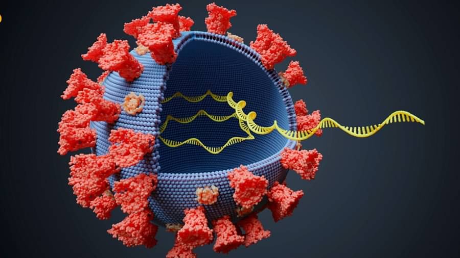 Omicron New Symptom: ఒమిక్రాన్ కొత్త లక్షణం వెలుగులోకి.. అధ్యయనంలో షాకింగ్‌ నిజాలు..