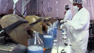 Smart Phone: మీ స్మార్ట్‌ ఫోన్‌ ఛార్జింగ్‌ ఆగడం లేదా.. అయితే మీరు ఈ తప్పులు   చేస్తున్నారా..?