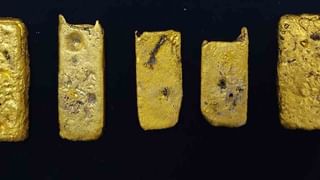 Fake Documents: కరోనా సర్టిఫికేట్ నుంచి బోర్డింగ్ పాస్ ల వరకూ మొత్తం నకిలీ.. లండన్ వెళ్ళబోయి చిక్కిపోయారు!