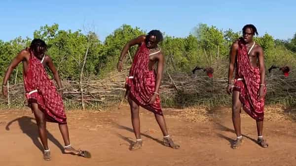 Pushpa Song: దేశాలు దాటుతున్న పుష్ప క్రేజ్.. పుష్పరాజ్ శ్రీవల్లి స్టెప్పును అలాగే దించేశాడుగా...