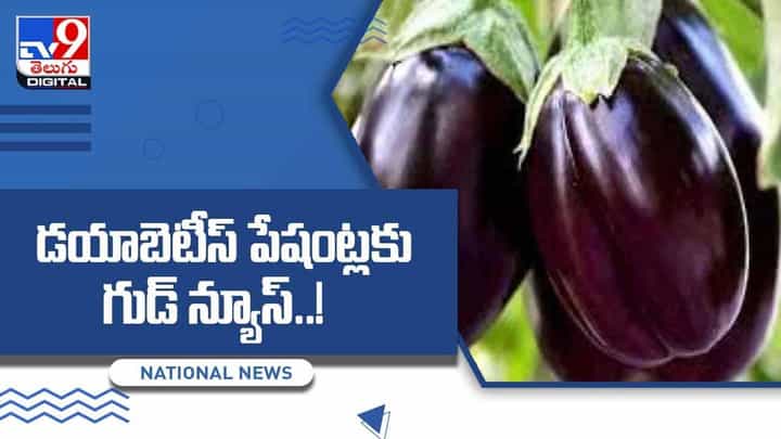Diabetes: డయాబెటీస్ పేషంట్లకు గుడ్ న్యూస్ !! వీడియో Diabetes: డయాబెటీస్ పేషంట్లకు గుడ్ న్యూస్ !! వీడియో