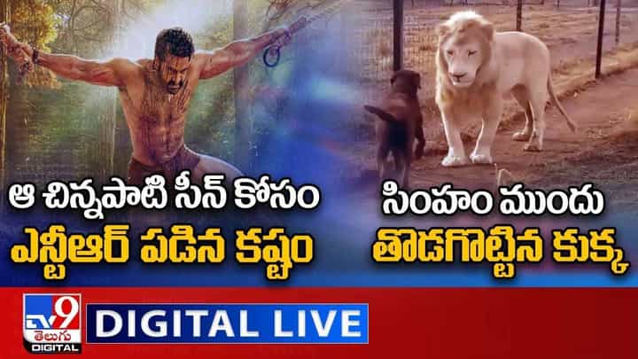 Digital News Round Up: సింహం ముందు తొడగొట్టిన కుక్క | ఆ సీన్ కోసం ఎన్టీఆర్ పడిన కష్టం..లైవ్ వీడియో Digital News Round Up: సింహం ముందు తొడగొట్టిన కుక్క | ఆ సీన్ కోసం ఎన్టీఆర్ పడిన కష్టం..లైవ్ వీడియో
