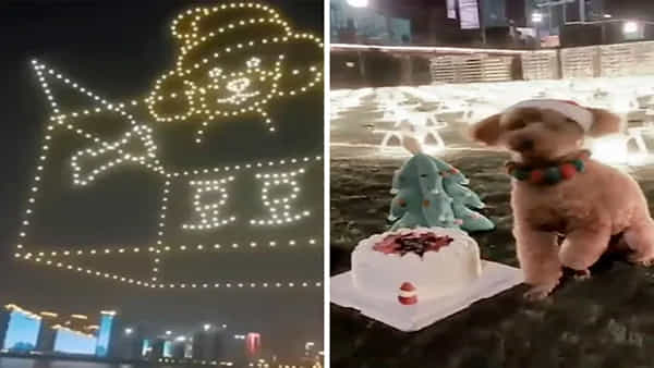 Dog Birthday: 11 కోట్లు ఖర్చు పెట్టిన ఘనంగా కుక్కలు పుట్టిన రోజు వేడుకలు.. చిక్కులను కొని తెచ్చుకున్న వైనం.. ఎక్కడంటే..