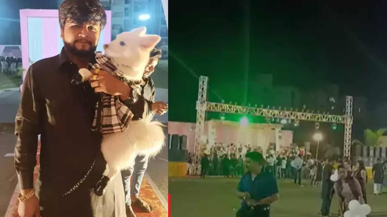 Viral: కుక్కకు రూ.7లక్షల ఖర్చుతో గ్రాండ్‌గా బర్త్‌డే పార్టీ.. ముగ్గురు అరెస్ట్‌.. ఎందుకో తెలుసా?