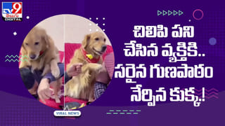 Viral Video: ఇదో వెరైటీ సమోసా.. బంగాళదుంపకు బదులుగా ఏం వాడాడో తెలుసా ?? వీడియో
