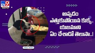 Inspiring Story: 26 ఏళ్ల కొడుకుని వీపుపై మోస్తూ ప్రపంచ పర్యటన !! వీడియో