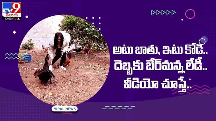 Viral Video: అటు బాతు, ఇటు కోడి !! దెబ్బకు బేర్మన్న లేడీ !! వీడియో Viral Video: అటు బాతు, ఇటు కోడి !! దెబ్బకు బేర్మన్న లేడీ !! వీడియో