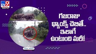 Viral Video: పాటపాడి దెయ్యాన్ని ఓదార్చిన మహిళ !! వీడియో