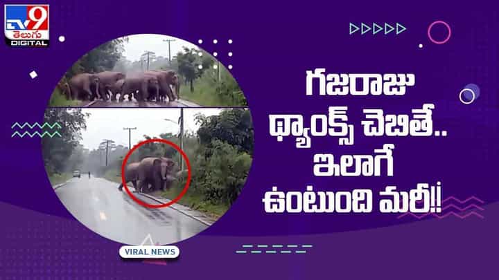 Viral Video: హెల్ప్ చేశారని వాహనదారులకు థ్యాంక్స్ చెప్పిన గజరాజు.. నెట్టింట వీడియో వైరల్ Viral Video: హెల్ప్ చేశారని వాహనదారులకు థ్యాంక్స్ చెప్పిన గజరాజు.. నెట్టింట వీడియో వైరల్