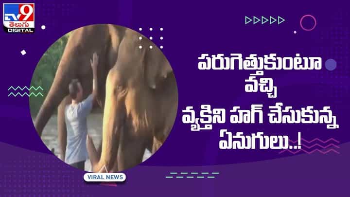 Viral Video: పరుగెత్తుకుంటూ వచ్చి వ్యక్తిని హగ్ చేసుకున్న ఏనుగులు !! వీడియో Viral Video: పరుగెత్తుకుంటూ వచ్చి వ్యక్తిని హగ్ చేసుకున్న ఏనుగులు !! వీడియో