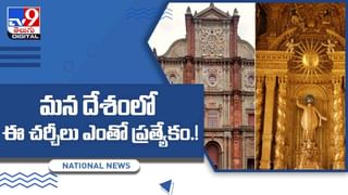 హెయిర్‌ బ్యాండ్‌కు బదులు పామును ముడేసుకున్న యువతి !! వీడియో