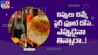 Viral video: పిజ్జాపై మనసు పారేసుకున్న పిల్లి.. ప్రాధేయపడిన తీరు చూస్తే నవ్వాగదు..