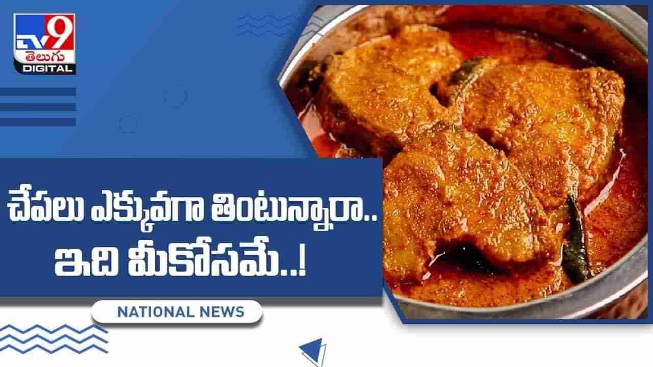 Fish: చేపలు ఎక్కువగా తింటున్నారా !! అయితే  ఇది మీకోసమే.. వీడియో