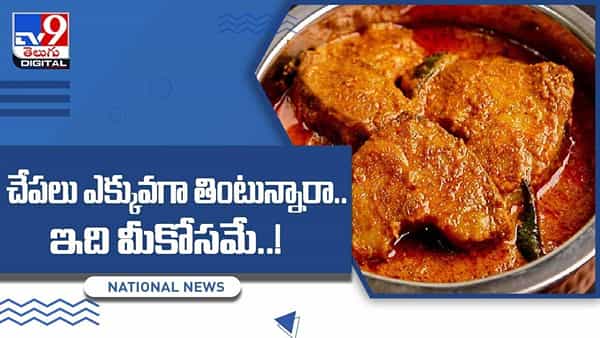 Fish: చేపలు ఎక్కువగా తింటున్నారా !! అయితే ఇది మీకోసమే.. వీడియో