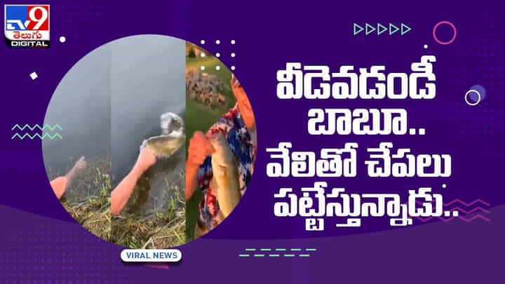 వీడెవడండీ బాబూ.. వేలితో చేపలు పట్టేస్తున్నాడు !! వీడియో వీడెవడండీ బాబూ.. వేలితో చేపలు పట్టేస్తున్నాడు !! వీడియో