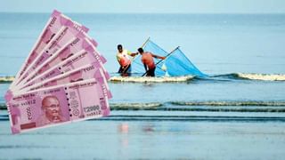 Tomato Prices Falling: ఏపీలో అక్కడ ఒక్కసారిగా పడిపోయిన టమాట ధర.. ఆందోళన వ్యక్తం చేస్తున్న రైతులు..