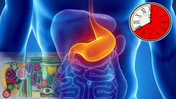 Digest Food: ఈ ఆహార పదార్థాలను తింటున్నారా..? జీర్ణం కావడానికి దేనికి ఎంత సమయం పడుతుంది..?