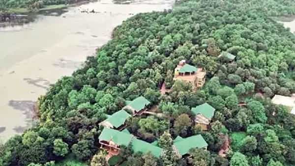 Forest Area: దేశంలో అటవీ విస్తీర్ణంలో పెరుగుదల.. ఏపీ తెలంగాణాల్లో అత్యధికం