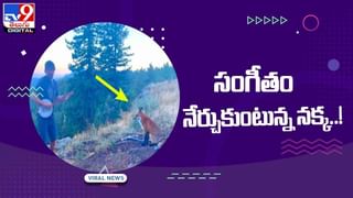 Viral News: ఈ విస్కీ బాటిల్ బాగా కాస్ట్లీ గురూ.. ఎంత ధర పలికిందో తెలిస్తే ఫ్యూజులు ఔట్!
