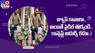 Viral Video: టూరిస్టులకు పులి చుక్కలు !! చూస్తుండగానే పంజా విసిరిన పులి !! వీడియో