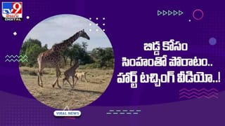 4 రెక్కల విమానం ?? గ్రహాంతరవాసుల కోసమా ?? వీడియో
